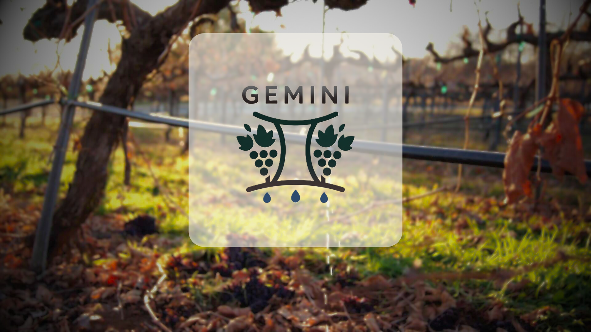 Proyecto GEMINI